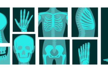 Digital X Ray Services Trulife Diagnostic