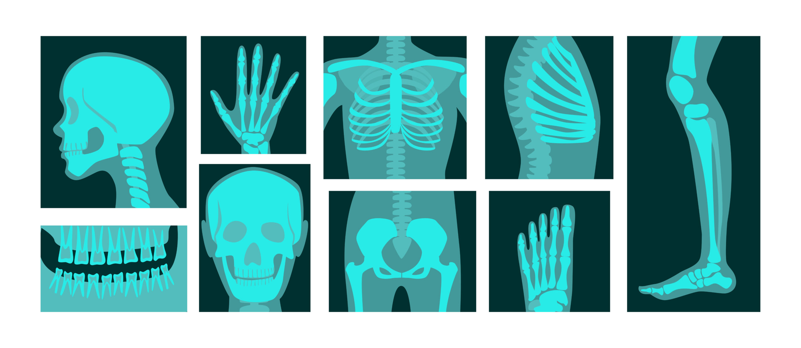 Digital X Ray Services Trulife Diagnostic