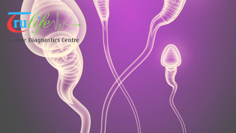 Expert Semen Analysis Services in Hyderabad Trulife Diagnostics (7)