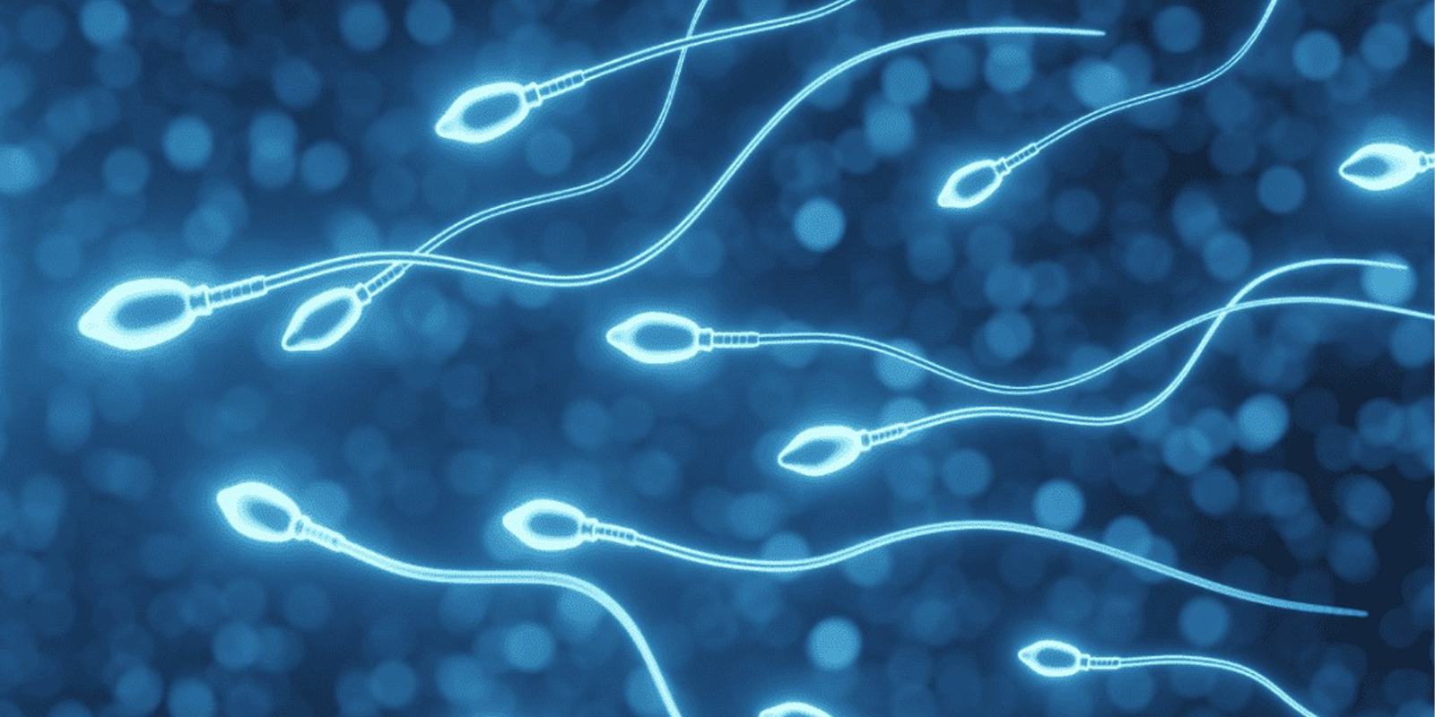 Semen Analysis