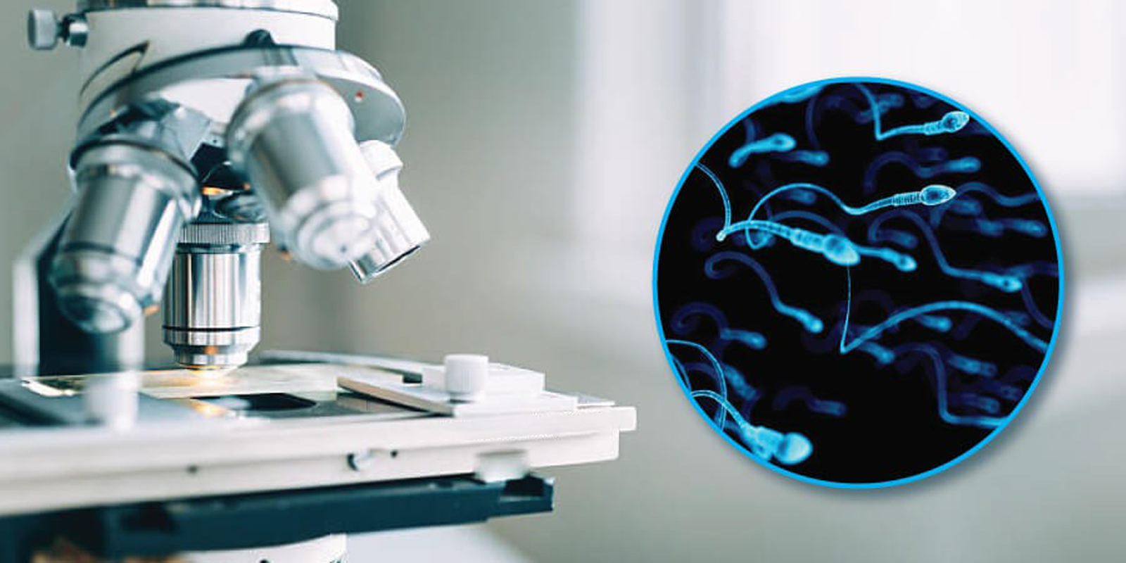 Semen Analysis