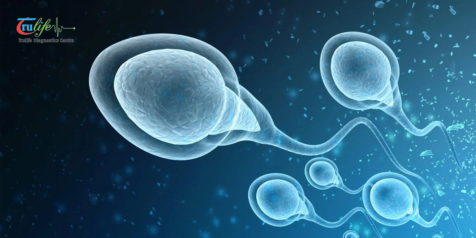 Semen Analysis