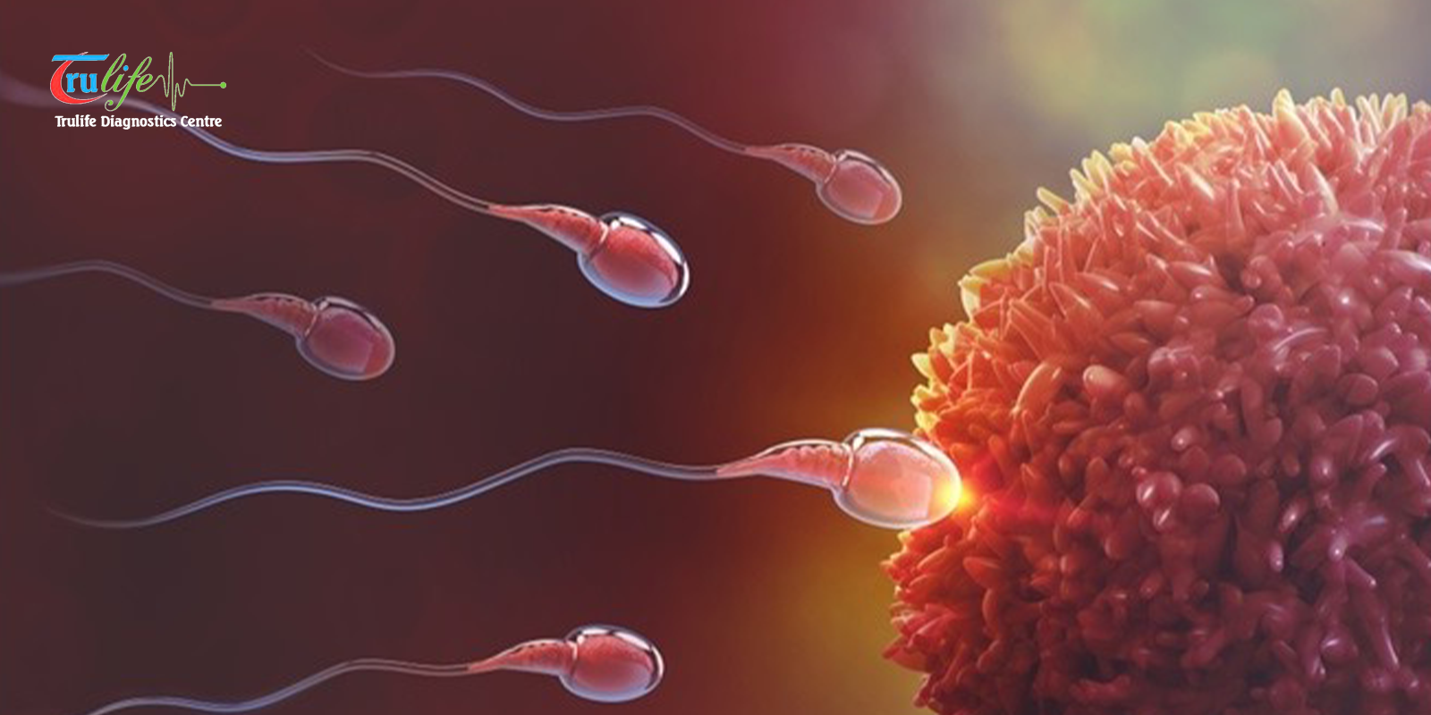 Semen Analysis in Hyderabad