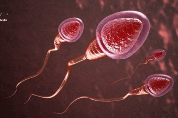 Semen Analysis in Narsingi