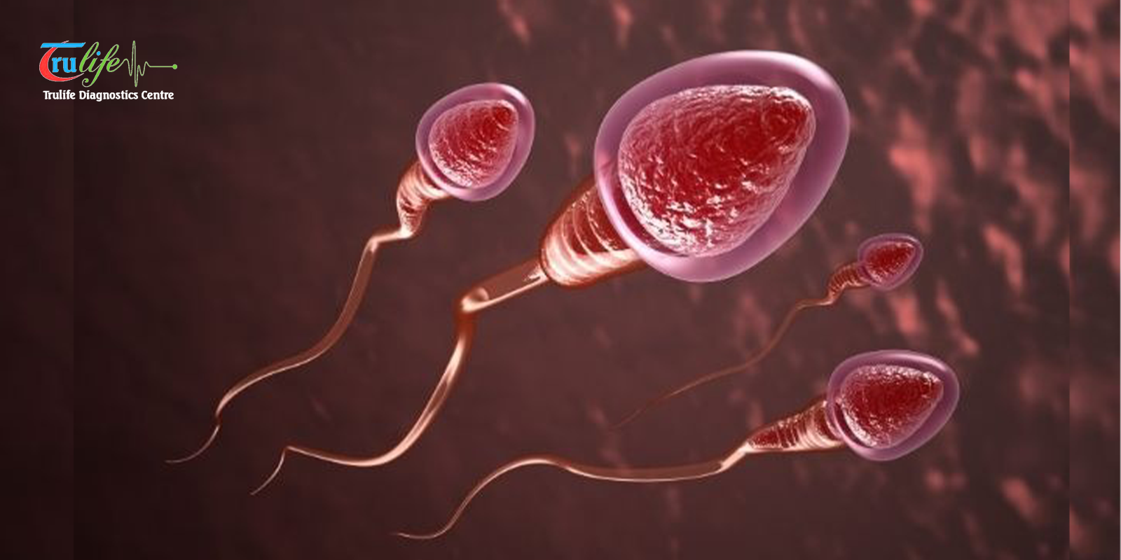 Semen Analysis in Narsingi