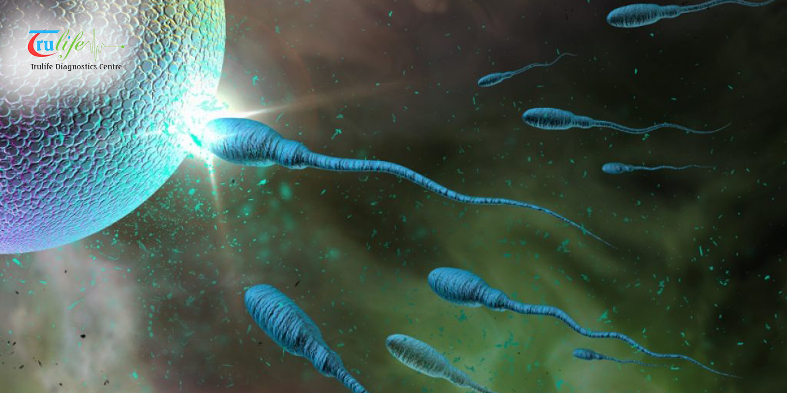 Semen Analysis in Narsingi Hyderabad