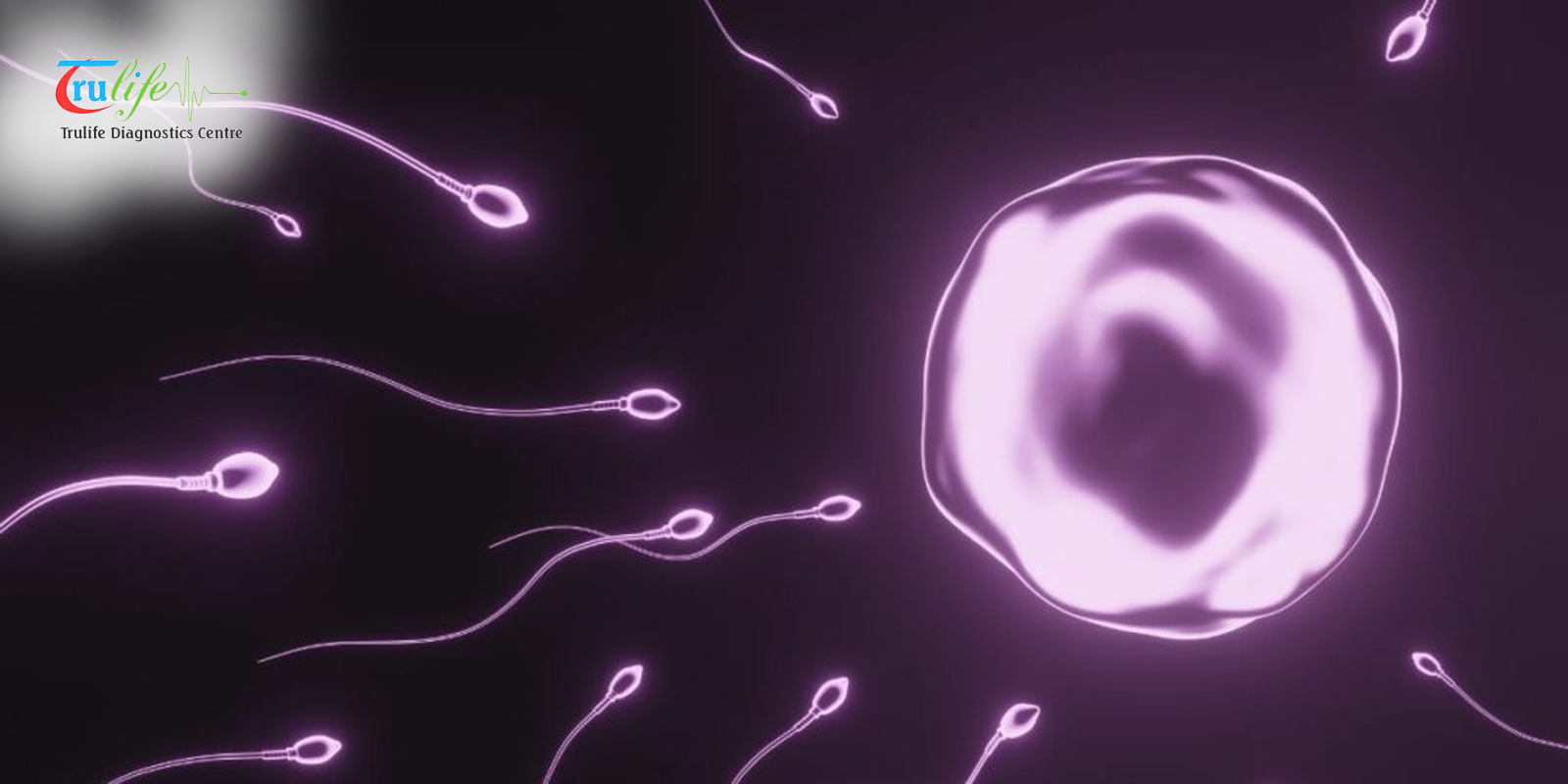 Semen Analysis in Narsingi Hyderabad